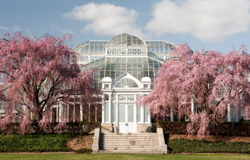 The New York Botanical Gardens A Natural Beauty In The Bronx